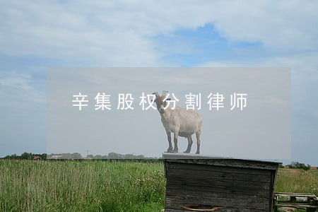 辛集股权分割律师 辛集股权分割律师