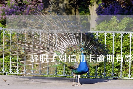 辞职了对信用卡逾期有影响吗 辞职了对信用卡逾期有影响吗