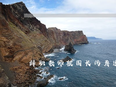 辞职教师被园长污蔑违法