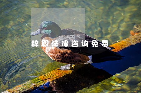 辞职法律咨询免费 辞职法律咨询免费
