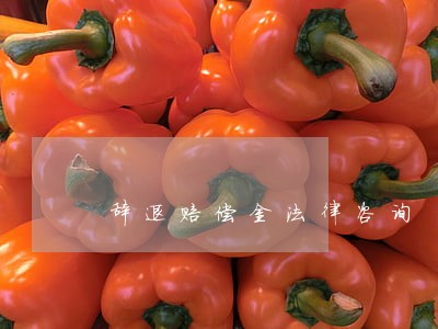 辞退赔偿金法律咨询