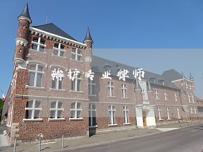 辩护专业律师 辩护专业律师