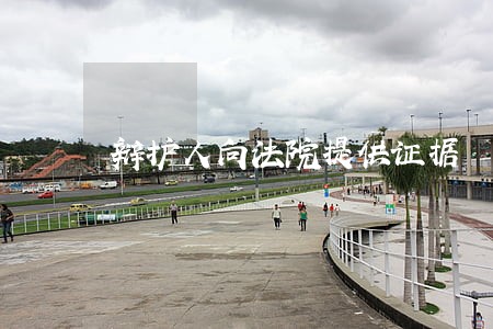 辩护人向法院提供证据 辩护人向法院提供证据