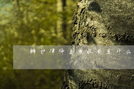 辩护律师主要收费是什么 辩护律师主要收费是什么