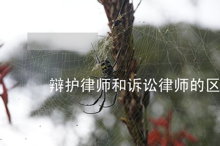辩护律师和诉讼律师的区别 辩护律师和诉讼律师的区别