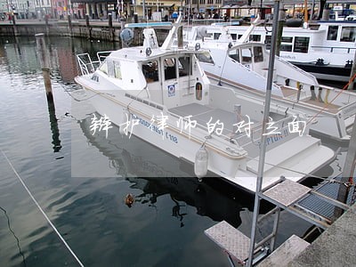 辩护律师的对立面 辩护律师的对立面