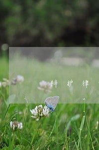 辩护律师的诉讼权利有 辩护律师的诉讼权利有