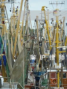辩护律师证据核实得范围和方式 辩护律师证据核实得范围和方式