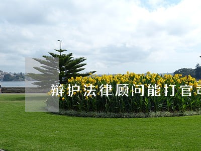 辩护法律顾问能打官司吗 辩护法律顾问能打官司吗