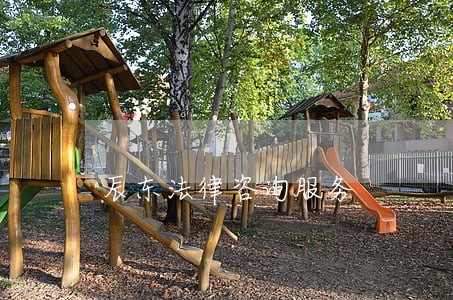 辰东法律咨询服务 辰东法律咨询服务