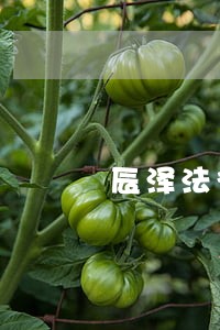 辰泽法律咨询有限公司 辰泽法律咨询有限公司