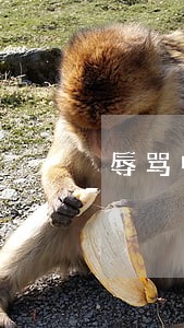 辱骂中国法律犯法吗 辱骂中国法律犯法吗