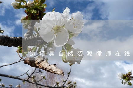 边坝县自然资源律师在线免费咨询 边坝县自然资源律师在线免费咨询