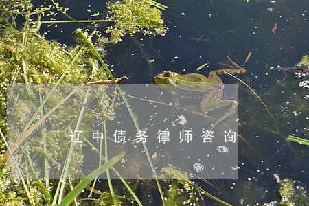 辽中债务律师咨询 辽中债务律师咨询
