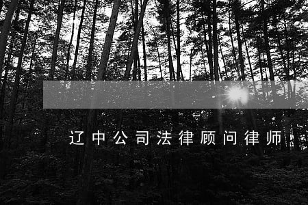 辽中公司法律顾问律师 辽中公司法律顾问律师