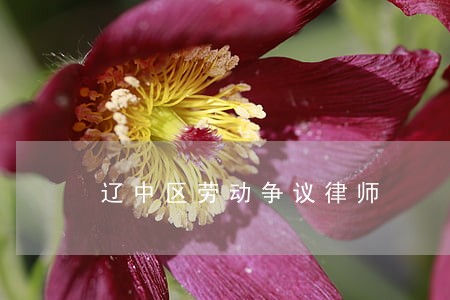 辽中区劳动争议律师