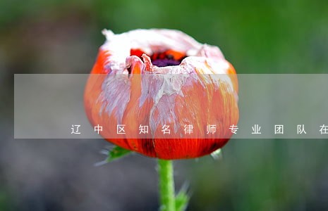辽中区知名律师专业团队在线服务 辽中区知名律师专业团队在线服务