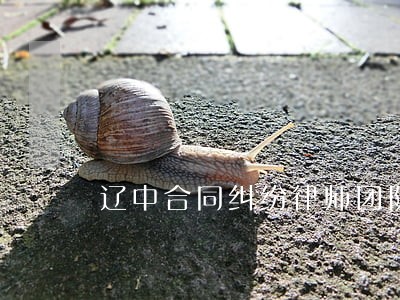 辽中合同纠纷律师团队 辽中合同纠纷律师团队