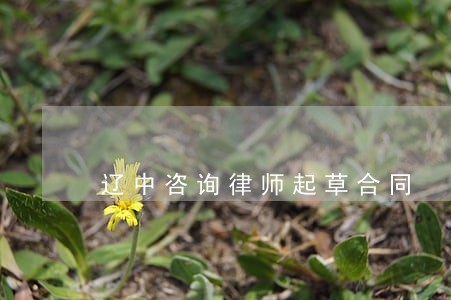 辽中咨询律师起草合同