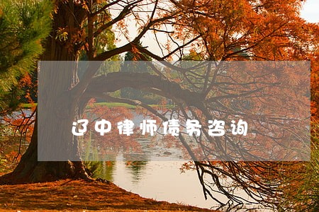 辽中律师债务咨询 辽中律师债务咨询