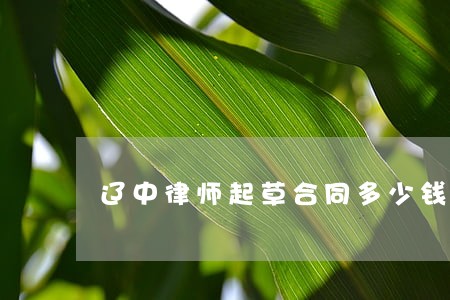 辽中律师起草合同多少钱 辽中律师起草合同多少钱