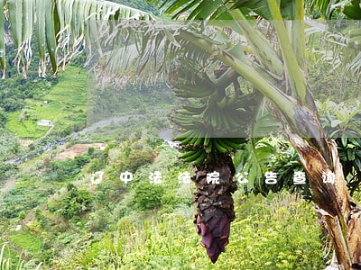 辽中法法院公告查询 辽中法法院公告查询