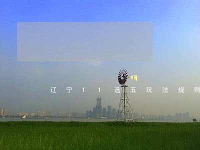 辽宁11选五玩法规则 辽宁11选五玩法规则
