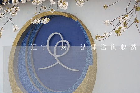 辽宁一对一法律咨询收费 辽宁一对一法律咨询收费