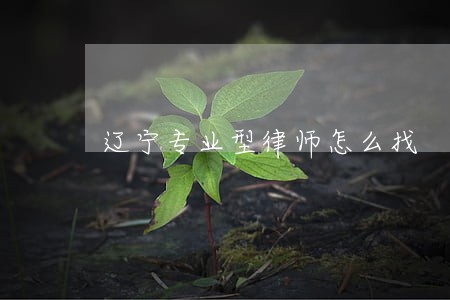 辽宁专业型律师怎么找