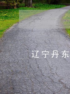 辽宁丹东市怎么样 辽宁丹东市怎么样