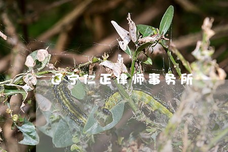 辽宁仁正律师事务所 辽宁仁正律师事务所