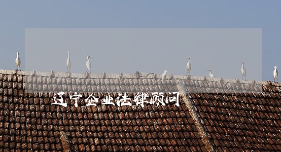 辽宁企业法律顾问 辽宁企业法律顾问