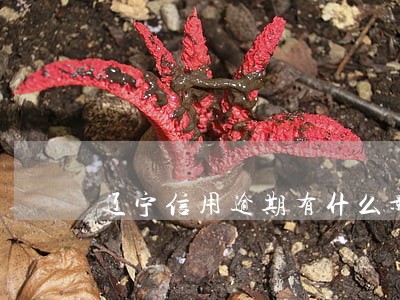 辽宁信用逾期有什么影响
