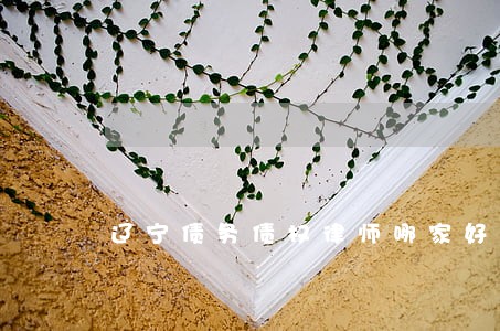 辽宁债务债权律师哪家好 辽宁债务债权律师哪家好
