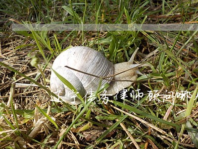 辽宁债务律师顾问哪个好