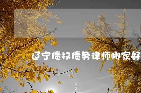 辽宁债权债务律师哪家好 辽宁债权债务律师哪家好