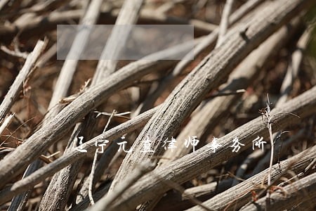 辽宁元直律师事务所 辽宁元直律师事务所
