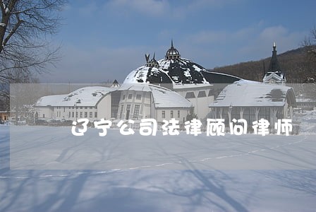 辽宁公司法律顾问律师 辽宁公司法律顾问律师