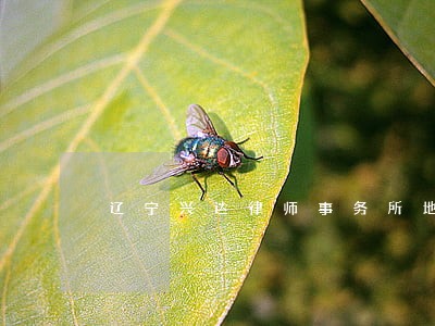 辽宁兴达律师事务所地址 辽宁兴达律师事务所地址