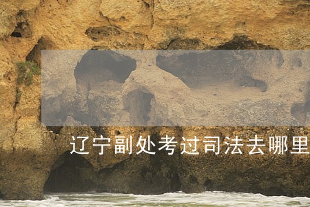 辽宁副处考过司法去哪里