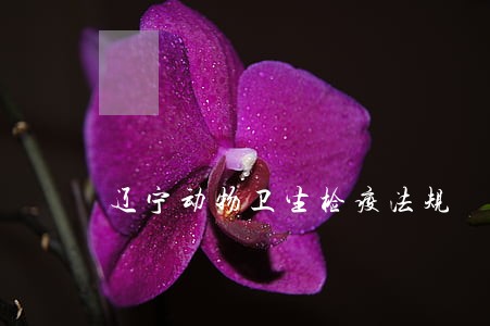 辽宁动物卫生检疫法规 辽宁动物卫生检疫法规