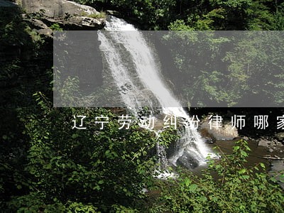 辽宁劳动纠纷律师哪家好 辽宁劳动纠纷律师哪家好