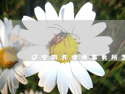 辽宁同方律师事务所怎么样 辽宁同方律师事务所怎么样