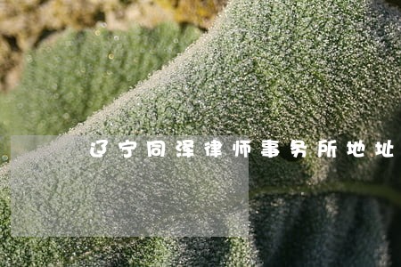 辽宁同泽律师事务所地址 辽宁同泽律师事务所地址