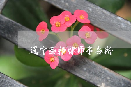 辽宁圣邦律师事务所 辽宁圣邦律师事务所