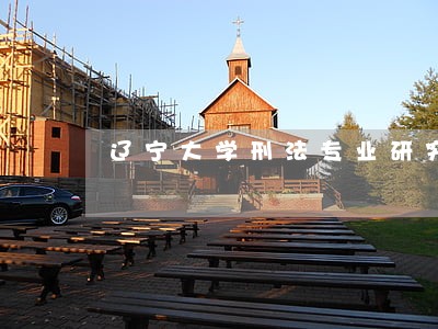 辽宁大学刑法专业研究生 辽宁大学刑法专业研究生