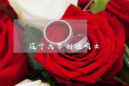 辽宁大学刑法硕士 辽宁大学刑法硕士