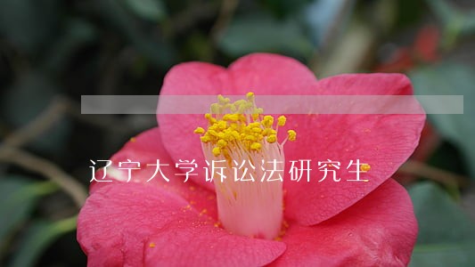 辽宁大学诉讼法研究生