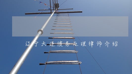 辽宁大连债务处理律师介绍