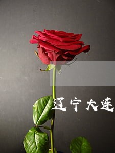 辽宁大连债务律师团队咨询 辽宁大连债务律师团队咨询